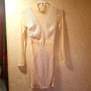 Fashion Nova long sleeve mesh cut out sequin dress